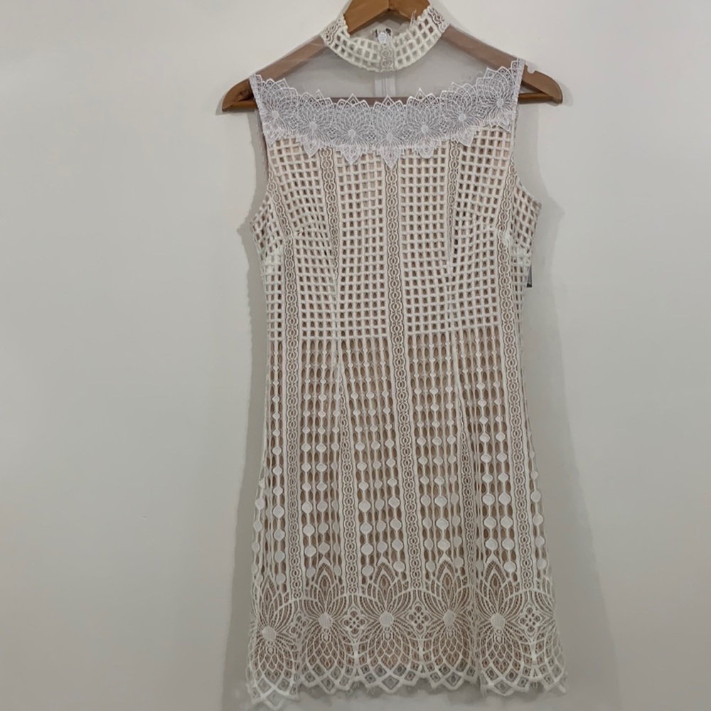 Bebe 6 Lace Shift Dress beige color